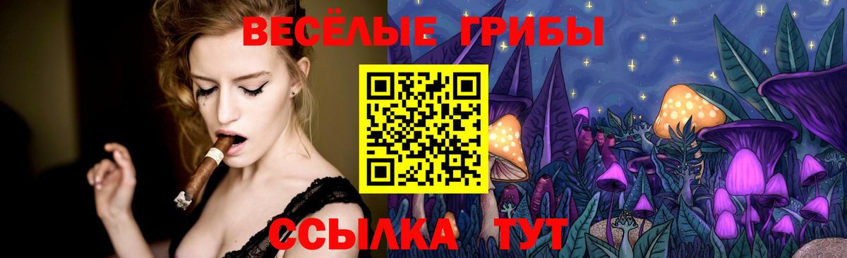 Краснодар  Псилоцибиновые грибы ЛСД  Вход с VPN  Псилоцибиновые грибы Magic Shrooms 