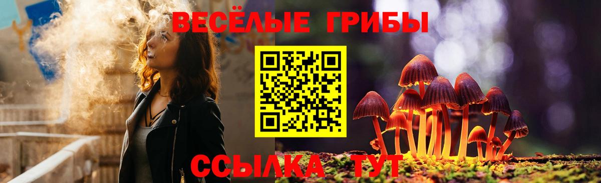 Галлюциногенные грибы GOLDEN TEACHER Краснодар